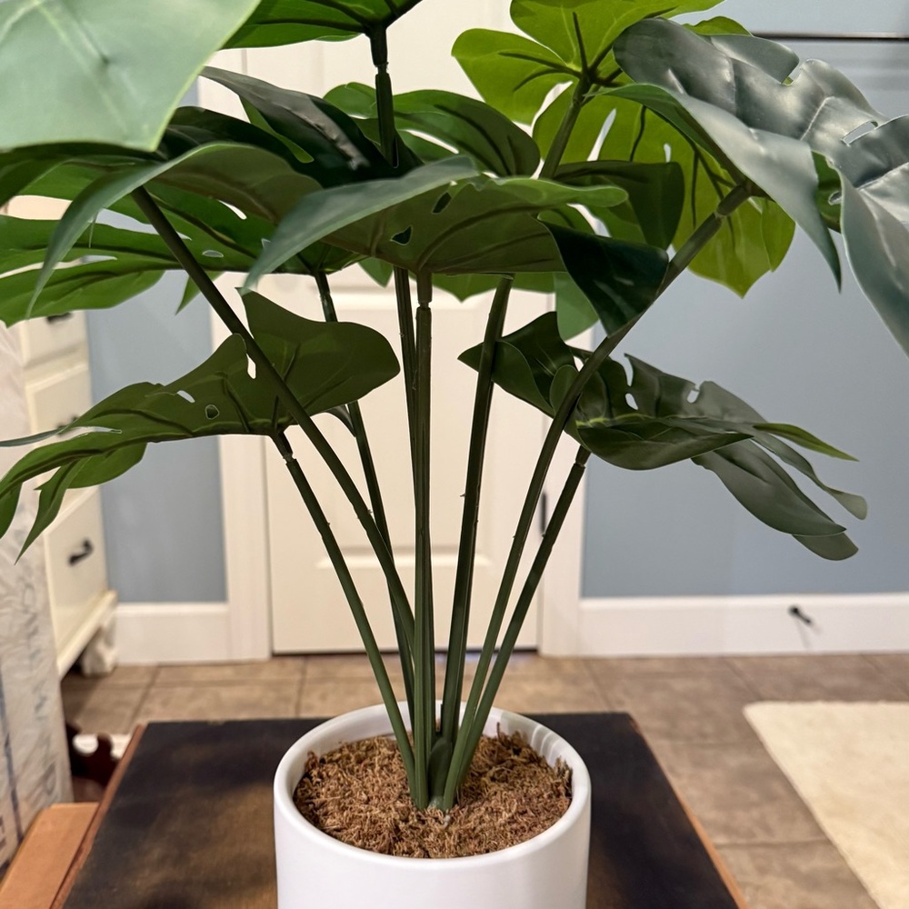 🪴 Faux Monstera Plant - Picture 2 of 12